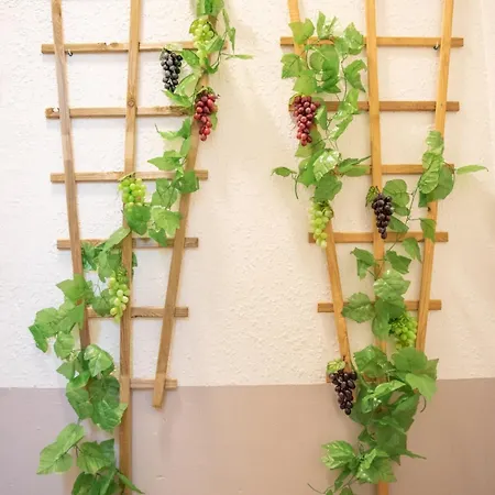 Διαμέρισμα Qualys Vignoble Parking, Square View, Close To Καρκασόν