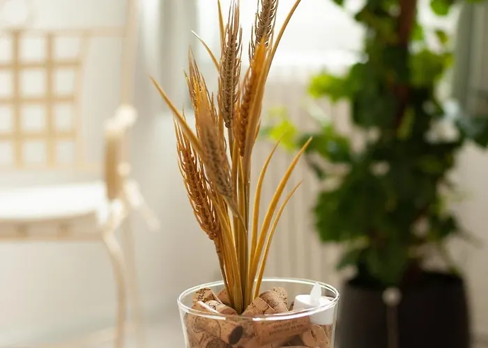 Qualys Vignoble Parking, Square View, Close To Lejlighed Carcassonne